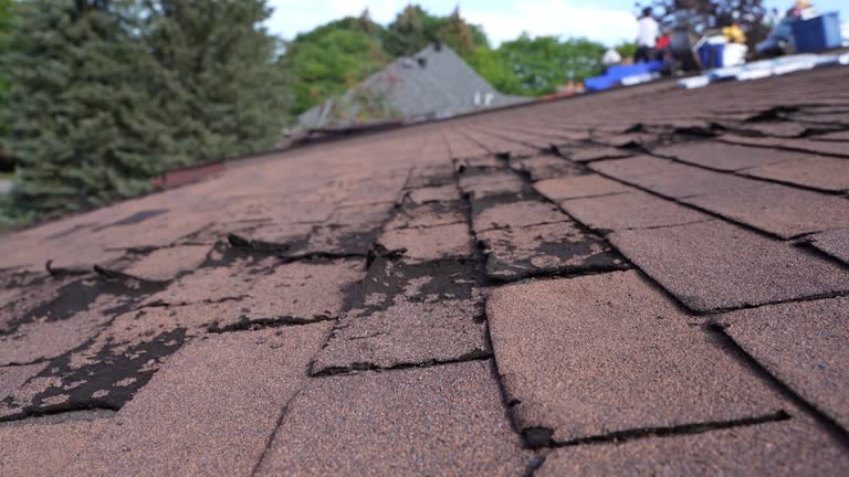 Best Emergency Roof Repair Services  in Milan, OH